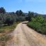  Land for sale in Chile, Lampa, Chacabuco, Santiago, Chile