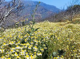  Land for sale in Chile, Lampa, Chacabuco, Santiago, Chile
