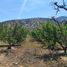  Land for sale in Chile, Lampa, Chacabuco, Santiago, Chile