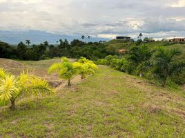  Land for sale in Pereira, Risaralda, Pereira