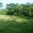  Land for sale in Selemadeg, Tabanan, Selemadeg