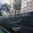 1 Habitación Apartamento en alquiler en San Jode de Maipo, Cordillera, San Jode de Maipo