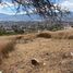  Land for sale in Jocotepec, Jalisco, Jocotepec