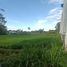  Terreno (Parcela) en venta en Seyegan, Yogyakarta, Seyegan
