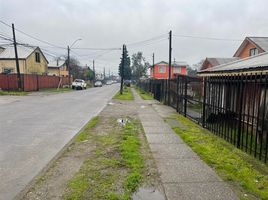  Terreno (Parcela) en venta en Los Ríos, Mariquina, Valdivia, Los Ríos