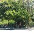 Land for sale in Kalimantan Tengah, Pahandut, Palangka Raya, Kalimantan Tengah