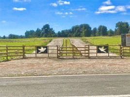  Terreno (Parcela) en venta en Loncoche, Cautín, Loncoche