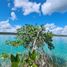 Terrain à vendre à Othon P Blanco, Quintana Roo, Othon P Blanco