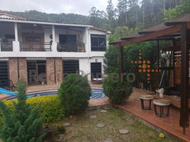 7 Bedroom House for sale in Chinacota, Norte De Santander, Chinacota