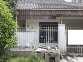3 Schlafzimmer Haus zu verkaufen in Mulyorejo, East Jawa, Mulyorejo