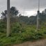  Land for sale in Las Vigas De Ramirez, Veracruz, Las Vigas De Ramirez