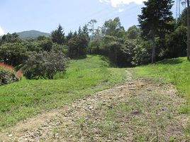  Grundstück zu verkaufen in Medellin, Antioquia, Medellin