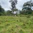 Studio Villa for sale in Moniquira, Boyaca, Moniquira, Boyaca
