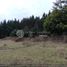  Terreno (Parcela) en venta en Cautín, Araucanía, Temuco, Cautín