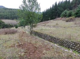 Terreno (Parcela) en venta en Cautín, Araucanía, Temuco, Cautín