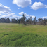  Land for sale in Chillan, Nuble, Chillan