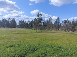  Terreno (Parcela) en venta en Chile, Chillan, Diguillín, Ñuble, Chile