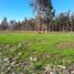  Terreno (Parcela) en venta en Chile, Chillan, Diguillín, Ñuble, Chile