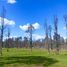  Terreno (Parcela) en venta en Chile, Chillan, Diguillín, Ñuble, Chile