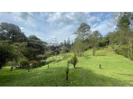  Land for sale in Rionegro, Antioquia, Rionegro