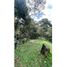  Land for sale in Rionegro, Antioquia, Rionegro