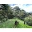  Land for sale in Rionegro, Antioquia, Rionegro