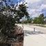  Terreno (Parcela) en venta en Merida, Yucatán, Merida