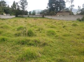  Terreno (Parcela) en venta en Quito, Pichincha, Quito, Quito