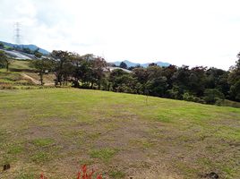  Grundstück zu verkaufen in San Carlos, Antioquia, San Carlos