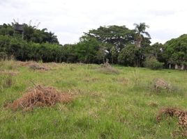  Terreno (Parcela) en venta en Ginebra, Valle Del Cauca, Ginebra