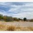  Land for rent in Torreon, Coahuila, Torreon, Coahuila