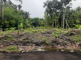  Land for sale in Yogyakarta, Gamping, Sleman, Yogyakarta