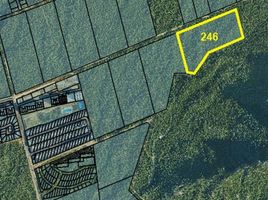  Land for sale in La Paz Baja California Sur, La Paz, Baja California Sur