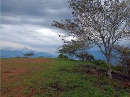  Terreno (Parcela) en venta en San Jeronimo, Antioquia, San Jeronimo