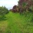  Terreno (Parcela) en venta en Bumiaji, East Jawa, Bumiaji