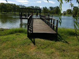  Terrain for sale in Monte, Buenos Aires, Monte
