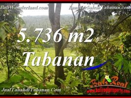  Land for sale in Selemadeg, Tabanan, Selemadeg