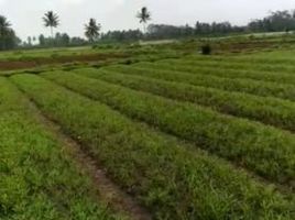  Land for sale in Kidung Kandang, Malang Regency, Kidung Kandang