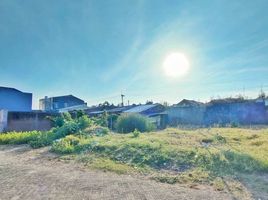  Terreno (Parcela) en venta en Tambaksari, East Jawa, Tambaksari