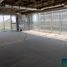 100 m² Office for rent in Miguel Hidalgo, Mexico City, Miguel Hidalgo