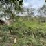  Terreno (Parcela) en venta en Manglaralto, Santa Elena, Manglaralto, Santa Elena, Santa Elena