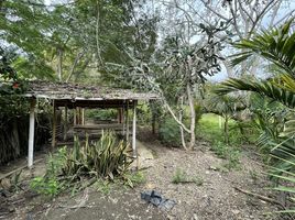 Terreno (Parcela) en venta en Manglaralto, Santa Elena, Manglaralto, Santa Elena, Santa Elena
