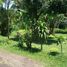  Terreno (Parcela) en venta en Cidadap, West Jawa, Cidadap, Bandung, West Jawa