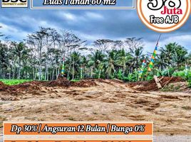  Land for sale in Kepanjen, Malang Regency, Kepanjen