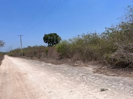 Terrain à vendre à Tixpehual, Yucatan, Tixpehual