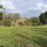  Land for sale in Palmira, Valle Del Cauca, Palmira