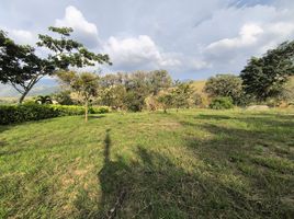  Land for sale in Palmira, Valle Del Cauca, Palmira