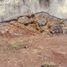  Terreno (Parcela) en venta en Huitzilac, Morelos, Huitzilac