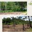  Terrain for sale in Cabo Corrientes, Jalisco, Cabo Corrientes