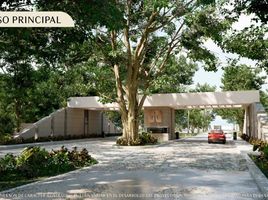  Land for sale in Conkal, Yucatan, Conkal